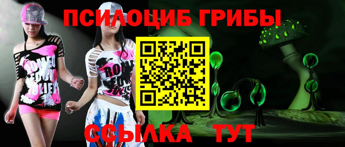 Галлюциногенные грибы Psilocybine cubensis Отрадный
