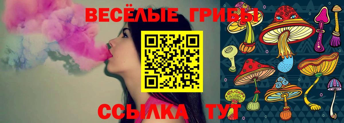 Галлюциногенные грибы мухоморы  Псилоцибиновые грибы Psilocybe  Отрадный  Вход с VPN 