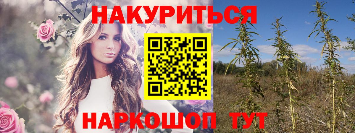 Каннабис OG Kush  Вход с VPN  Канабис THC 21%  Бошки марихуана Ganja  Отрадный 